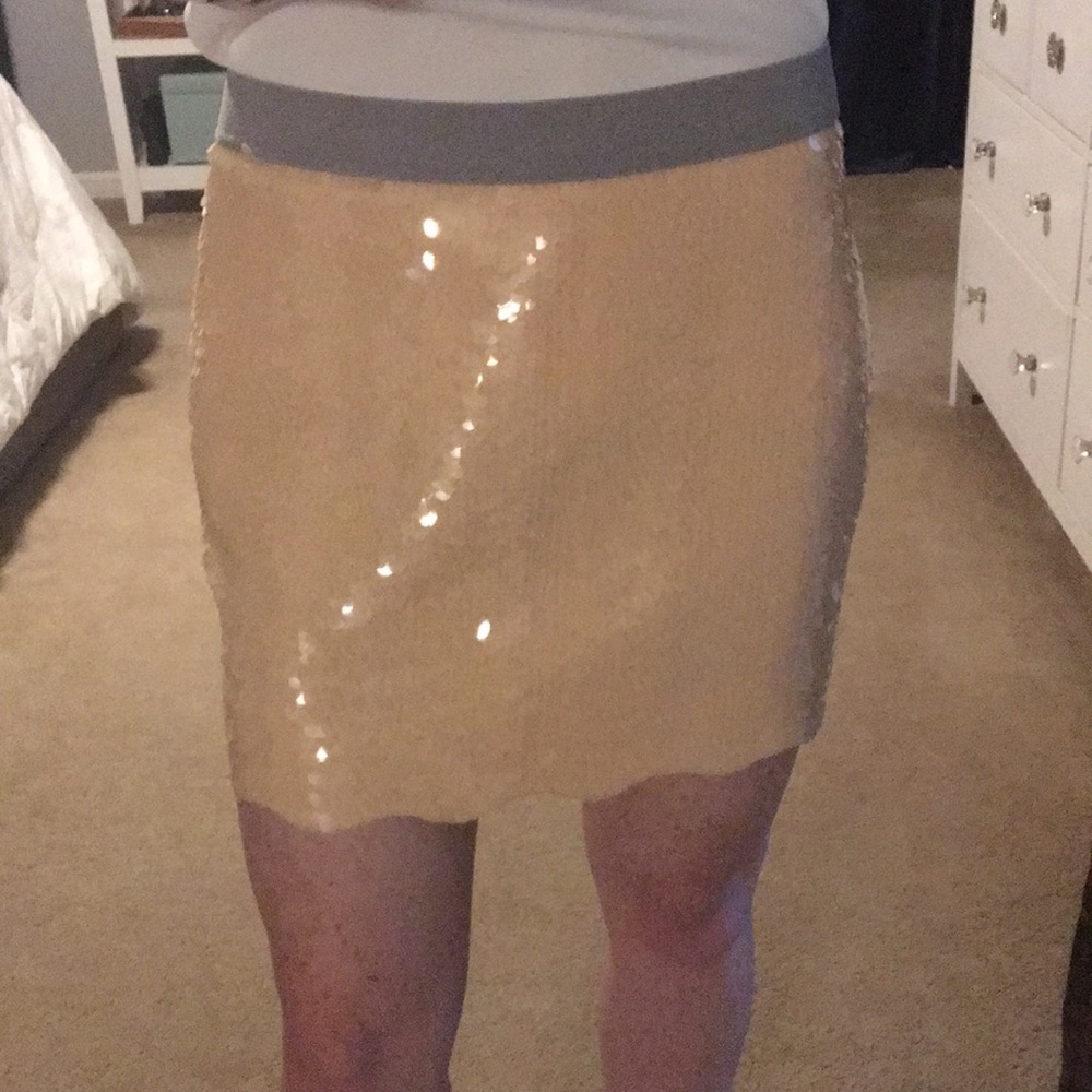BCBG light pink sequined skirt. NWT